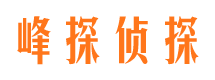 佛坪外遇调查取证